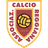 Reggiana 1919